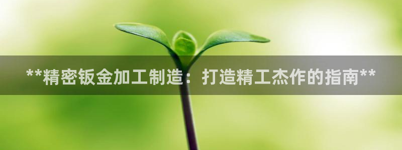 彩神平台是真的吗：**精密钣金加工制造：打造精工杰作的指南**
