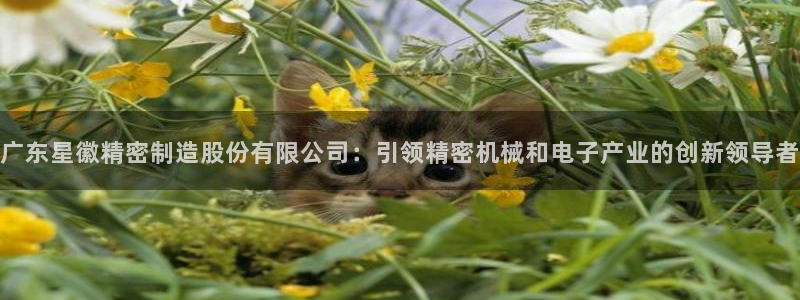 彩神大发黑平台：广东星徽精密制造股份有限公司：引领精密机械和电子产业的创新领导者