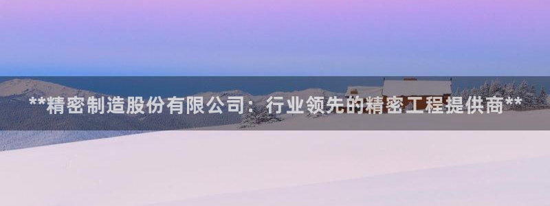 彩神v8首页：**精密制造股份有限公司：行业领先的精密工程提供商**