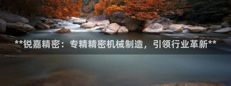 新版彩神v8登录：**锐嘉精密：专精精密机械制造，引领行业革新**