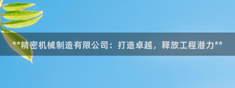 彩神是什么平台的游戏：**精密机械制造有限公司：打造卓越，释放工程潜力**