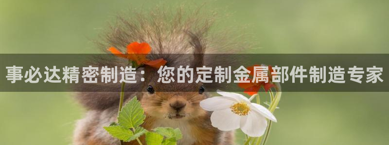 彩神V8有限公司
