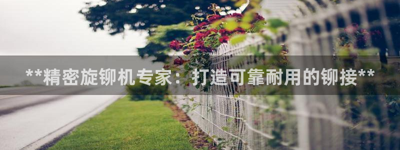 彩神v8是真的挣钱吗安全吗：**精密旋铆机专家：打造可靠耐用的铆接**