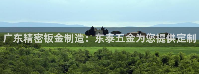 彩神合法吗.是国家认可的吗：广东精密钣金制造：东泰五金为您提供定制