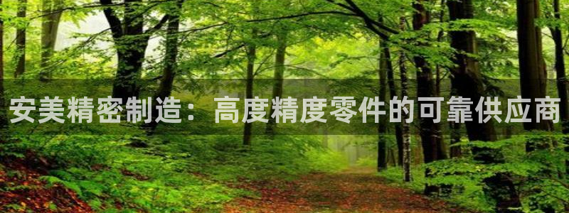 彩神vip购彩大厅：安美精密制造：高度精度零件的可靠供应商