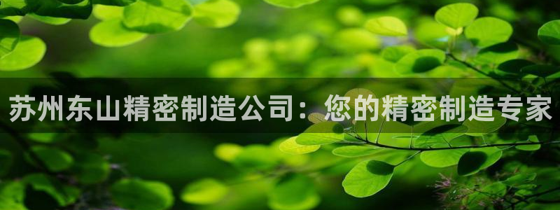 彩神8官网版：苏州东山精密制造公司：您的精密制造专家