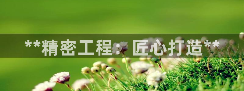 新版彩神v8登录不上去