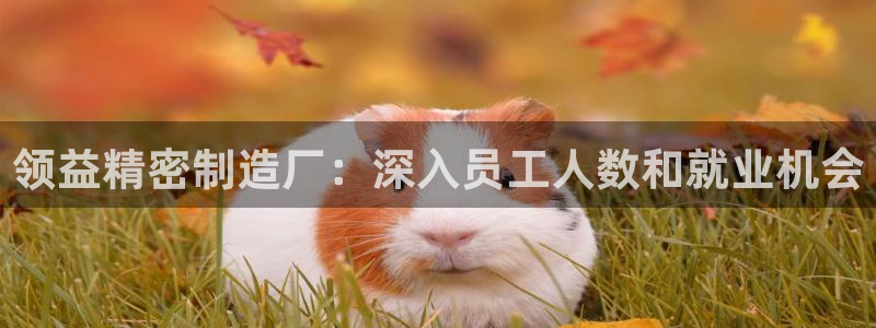彩神8是正规平台吗是正品吗：领益精密制造厂：深入员工人数和就业机会