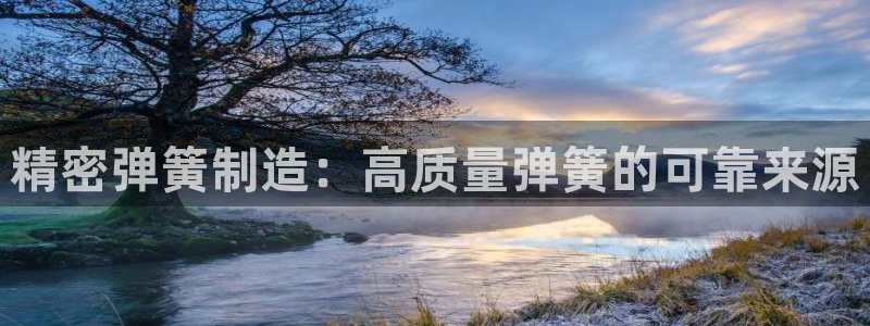 彩神V官网：精密弹簧制造：高质量弹簧的可靠来源