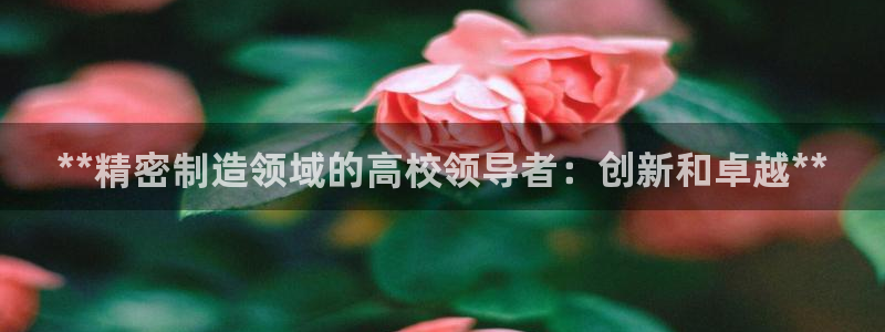 彩神8彩平台官网：**精密制造领域的高校领导者：创新和卓越**