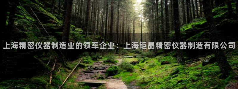 彩神Vii购彩-购彩大厅：上海精密仪器制造业的领军企业：上海钜晶精密仪器制造有限公司