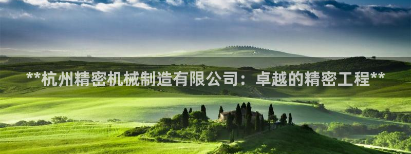 彩神v8iii：**杭州精密机械制造有限公司：卓越的精密工程**