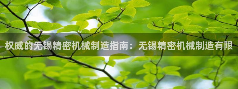 彩神平台：权威的无锡精密机械制造指南：无锡精密机械制造有限