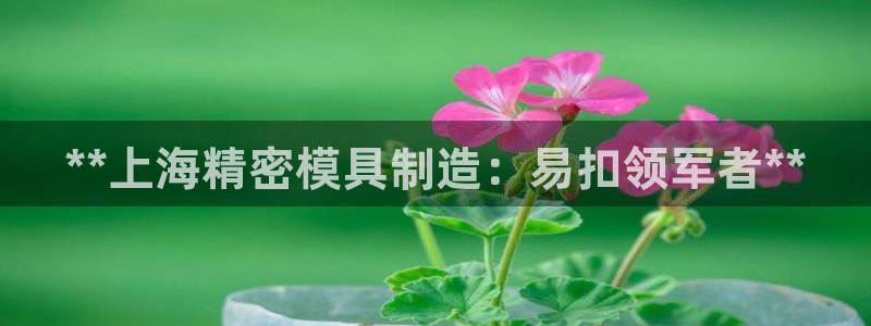 彩神vlll游戏特色：**上海精密模具制造：易扣领军者**