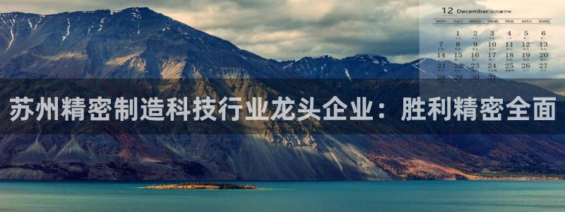 彩神v破解版：苏州精密制造科技行业龙头企业：胜利精密全面