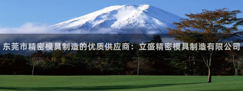 彩神vll首页：东莞市精密模具制造的优质供应商：立盛精密模具制造有限公司