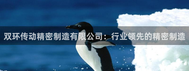 彩神vip购彩：双环传动精密制造有限公司：行业领先的精密制造