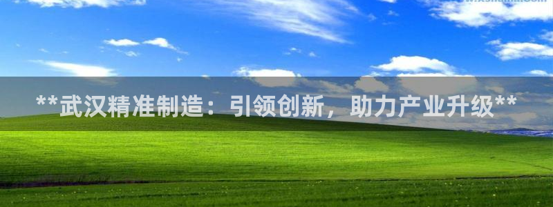 彩神8下载安卓版-彩神8(可提现)官网版1.0.0：**武汉精准制造：引领创新，助力产业升级**