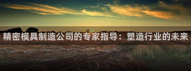 彩神怎么才能赢：精密模具制造公司的专家指导：塑造行业的未来