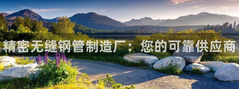 彩神争霸官网登录平台：精密无缝钢管制造厂：您的可靠供应商