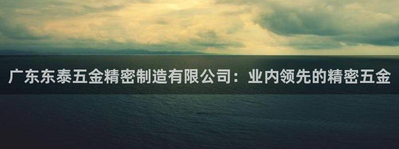 彩神网能赚钱是怎么回事：广东东泰五金精密制造有限公司：业内领先的精密五金