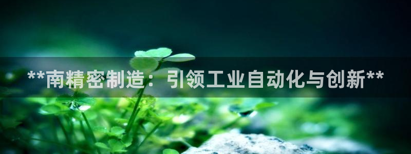彩神viii是正规平台吗?：**南精密制造：引领工业自动化与创新**