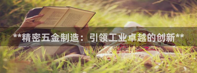 彩神viii官网：**精密五金制造：引领工业卓越的创新**