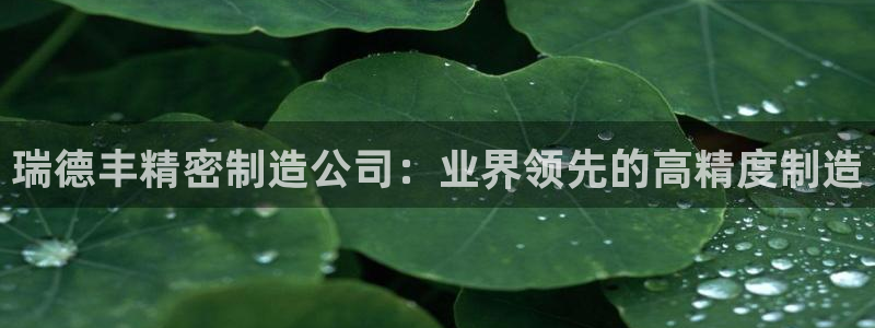 彩神通官方网：瑞德丰精密制造公司：业界领先的高精度制造