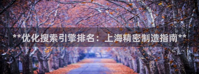 彩神vi争霸官网：**优化搜索引擎排名：上海精密制造指南**