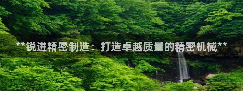 天天彩神welcome：**锐进精密制造：打造卓越质量的精密机械**