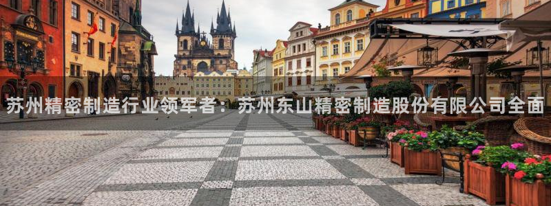 彩神vlll(中国)百度百科：苏州精密制造行业领军者：苏州东山精密制造股份有限公司全面