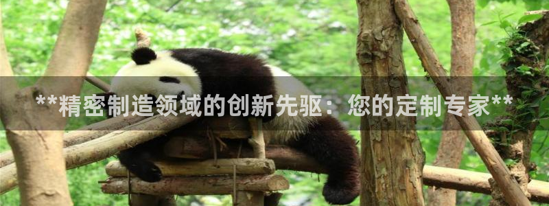 彩神通官方网：**精密制造领域的创新先驱：您的定制专家**