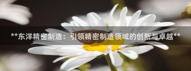 彩神vip购彩大厅：**东洋精密制造：引领精密制造领域的创新与卓越**