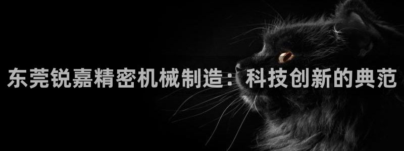 彩神8彩平台客服：东莞锐嘉精密机械制造：科技创新的典范