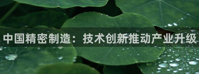 大发彩神官网下载：中国精密制造：技术创新推动产业升级