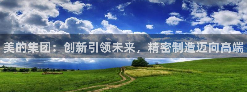 彩神是什么平台的游戏：美的集团：创新引领未来，精密制造迈向高端