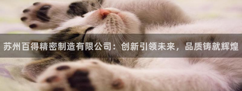 彩神8官网下：苏州百得精密制造有限公司：创新引领未来，品质铸就辉煌
