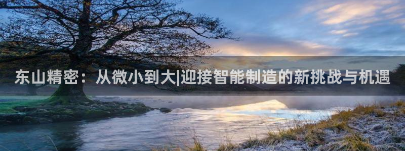 彩神天下专家专栏：东山精密：从微小到大|迎接智能制造的新挑战与机遇