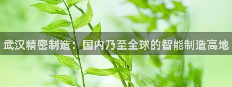 彩神v8平台正规吗知乎：武汉精密制造：国内乃至全球的智能制造高地