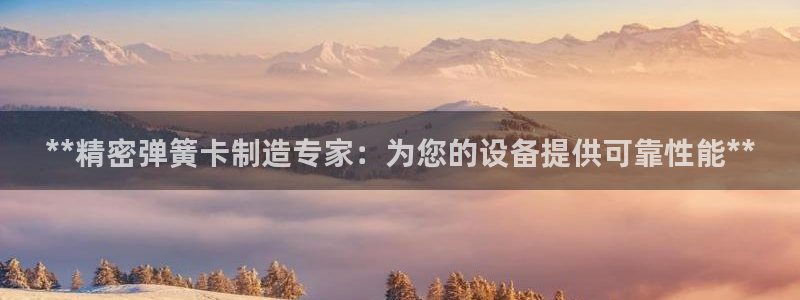 彩神V3大赢家：**精密弹簧卡制造专家：为您的设备提供可靠性能**