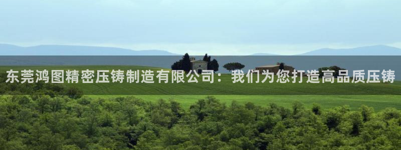 彩神vll官网在线登录：东莞鸿图精密压铸制造有限公司：我们为您打造高品质压铸