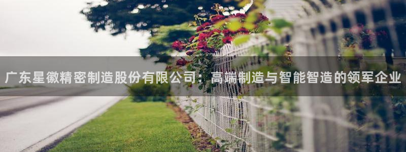 彩神vii手游下载：广东星徽精密制造股份有限公司：高端制造与智能智造的领军企业