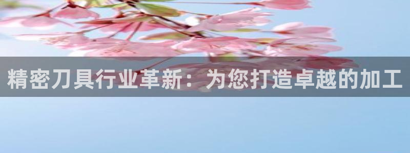 彩神app能挣到钱吗：精密刀具行业革新：为您打造卓越的加工