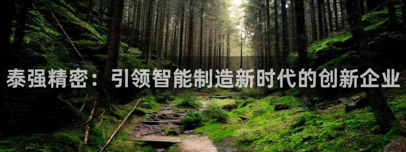 彩神平台可以破解吗：泰强精密：引领智能制造新时代的创新企业