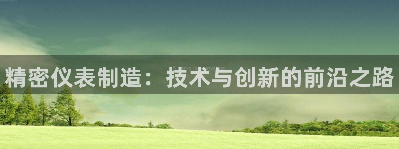 彩神v：精密仪表制造：技术与创新的前沿之路