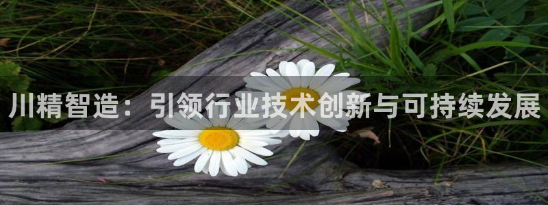 彩神V3大赢家：川精智造：引领行业技术创新与可持续发展