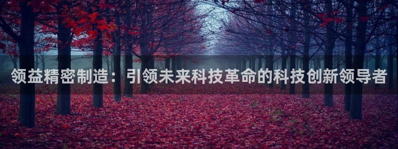 彩神大发黑平台：领益精密制造：引领未来科技革命的科技创新领导者