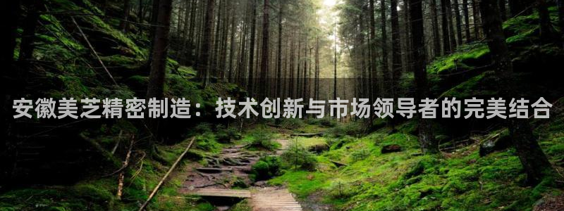 彩神vlll(中国)百度百科：安徽美芝精密制造：技术创新与市场领导者的完美结合