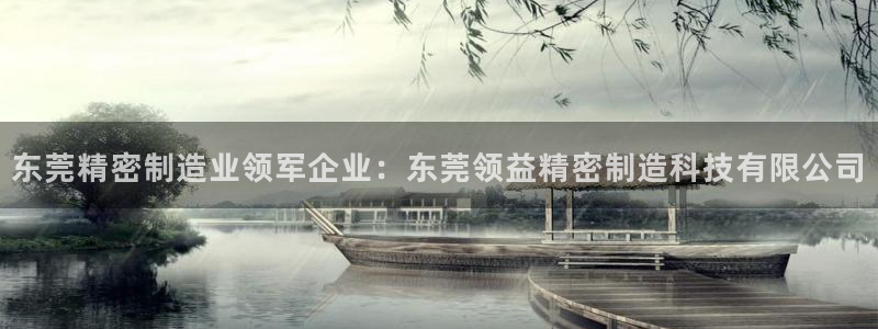 天天彩神welcome：东莞精密制造业领军企业：东莞领益精密制造科技有限公司