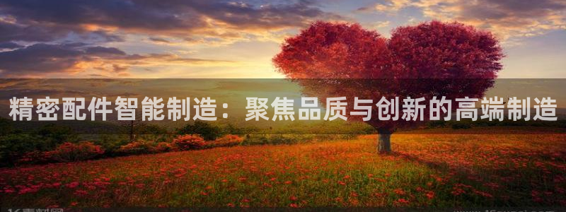 彩神vlll官网网上购彩：精密配件智能制造：聚焦品质与创新的高端制造